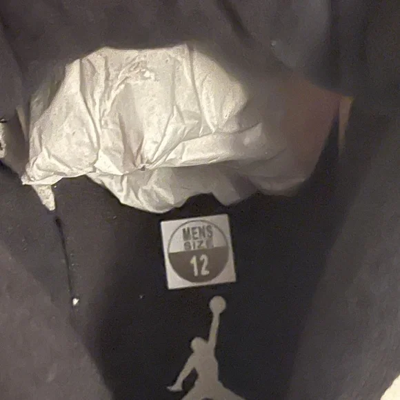 Limited edition Air Jordan 5 retro se sails